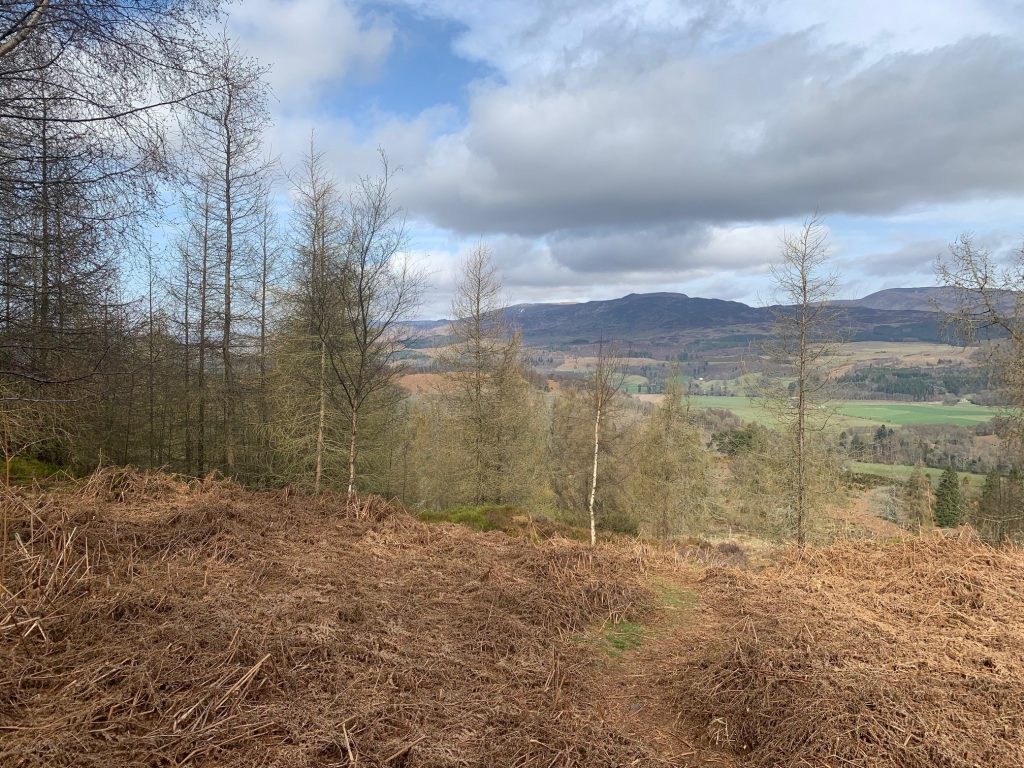Calendar comrie